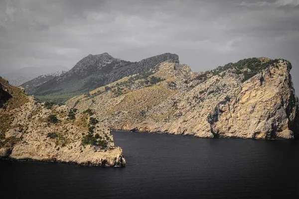 Món quà tuyệt vời cho ngôi nhà mới